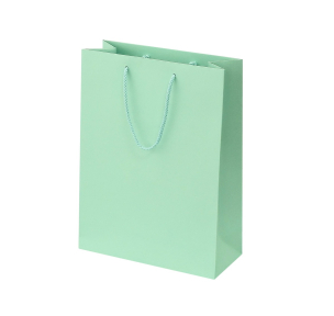 Mint paper bags with fabric handles