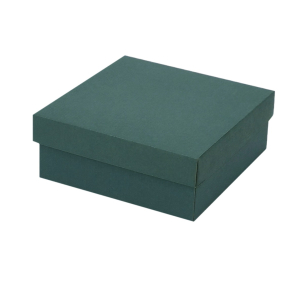Mikrolainepapist kast