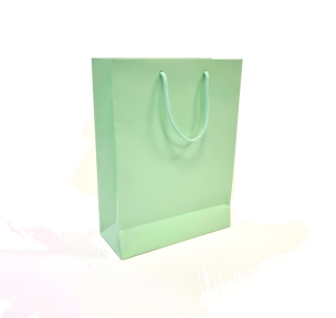 Mint paper bags with fabric handles