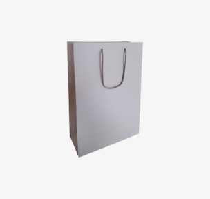 Light gray paper bags with fabric handles