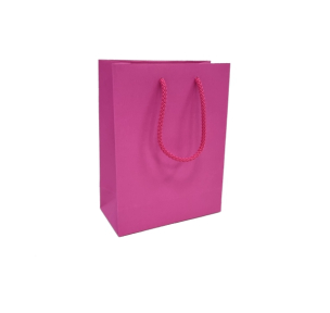 Pink paper bags with fabric handles