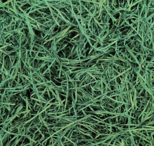 Puitlaastud kaunistamiseks