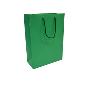 Green paper bags with fabric handles