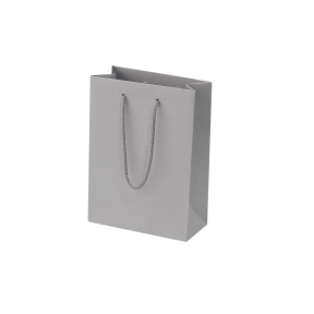 Light gray paper bags with fabric handles