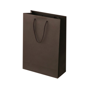 Brown paper bags with fabric handles