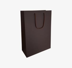 Brown paper bags with fabric handles