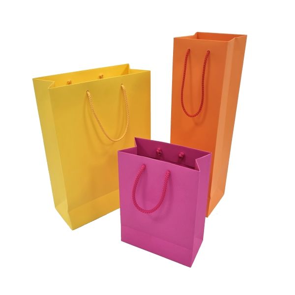 Gift paper bags with fabric handles